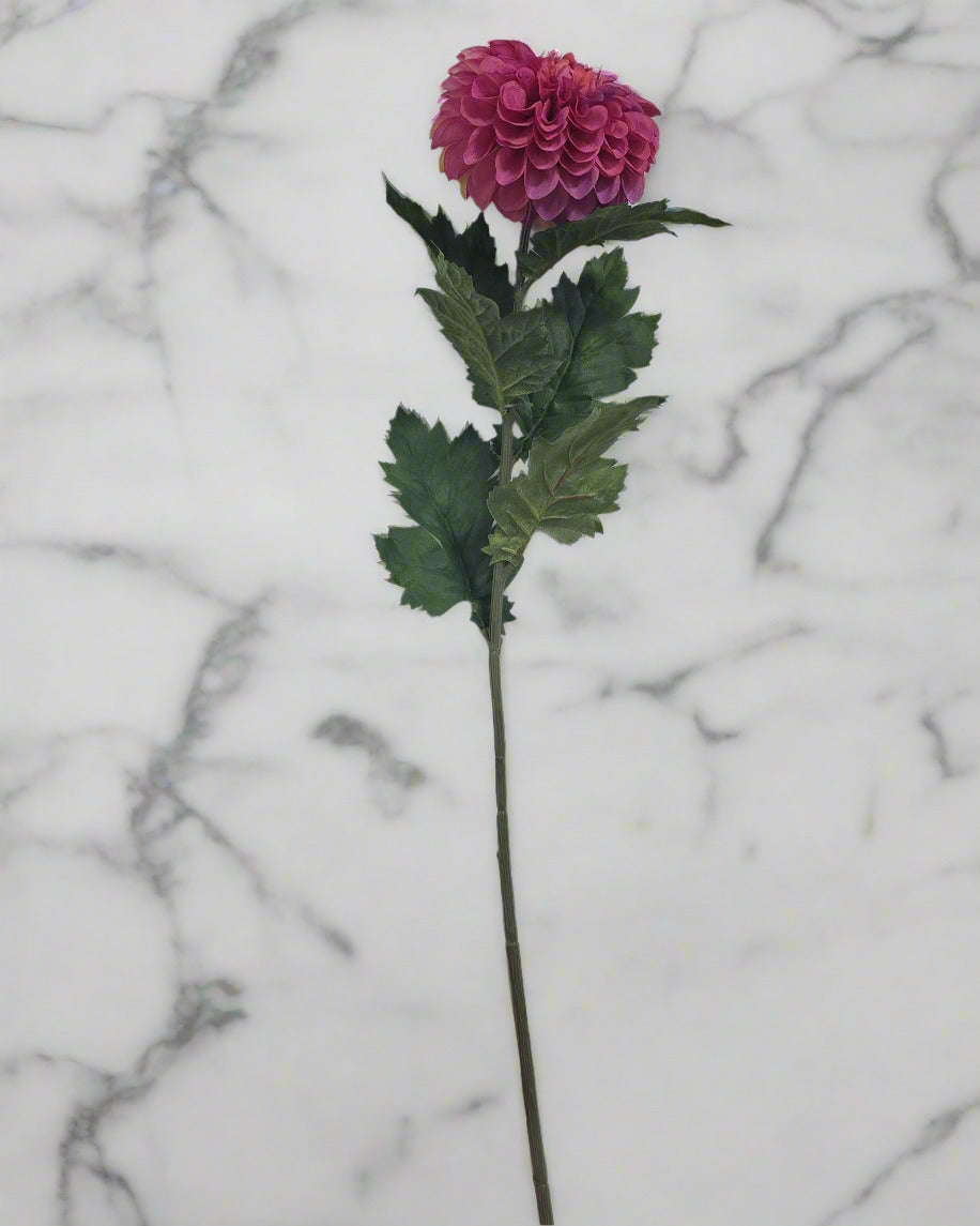 Dahlia Stems - Fushia