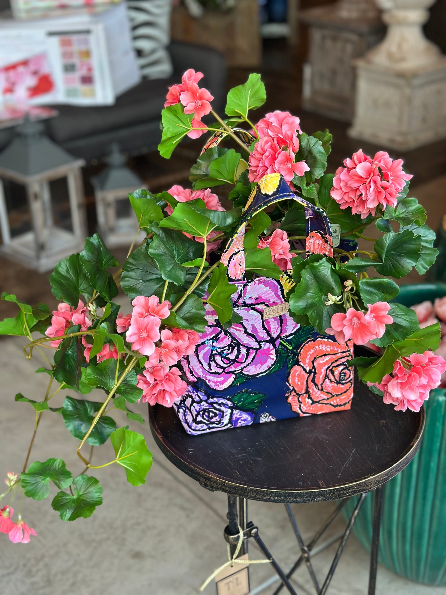 36" Salmon Geranium Plant Bush