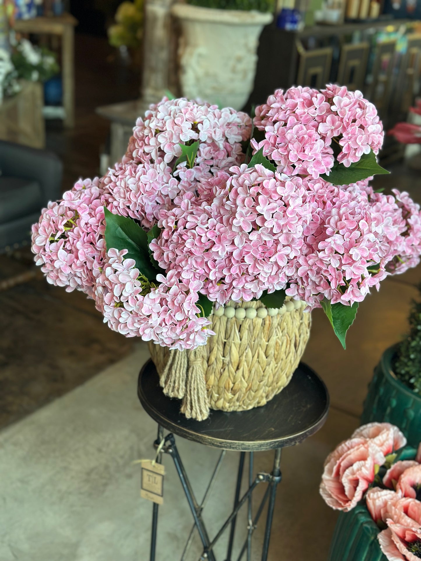 22" Garden Hydrangea Bush