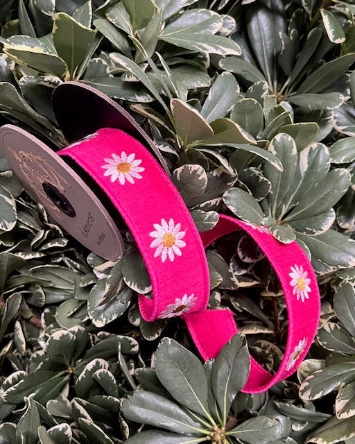 Ribbon