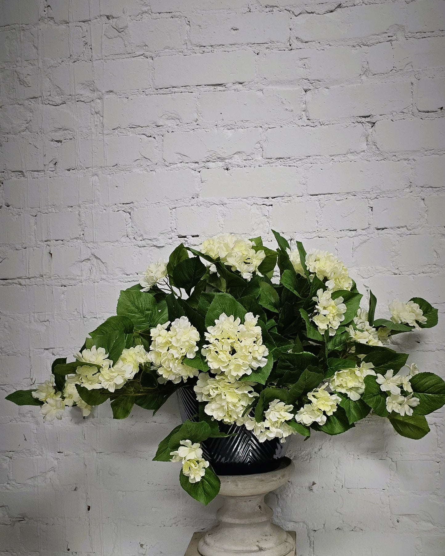 UV Shield Hanging Hydrangnea Bush