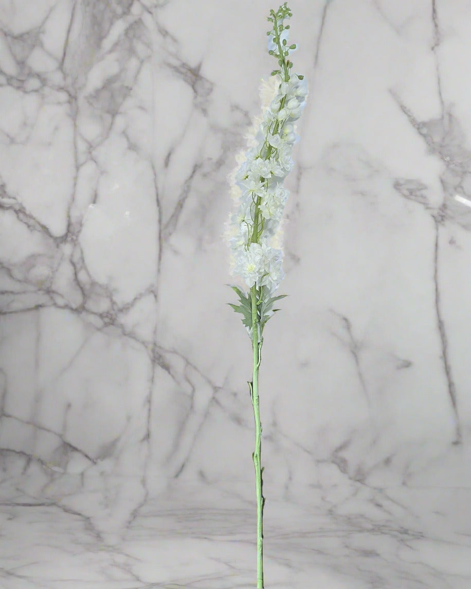 XL White Stock Stems