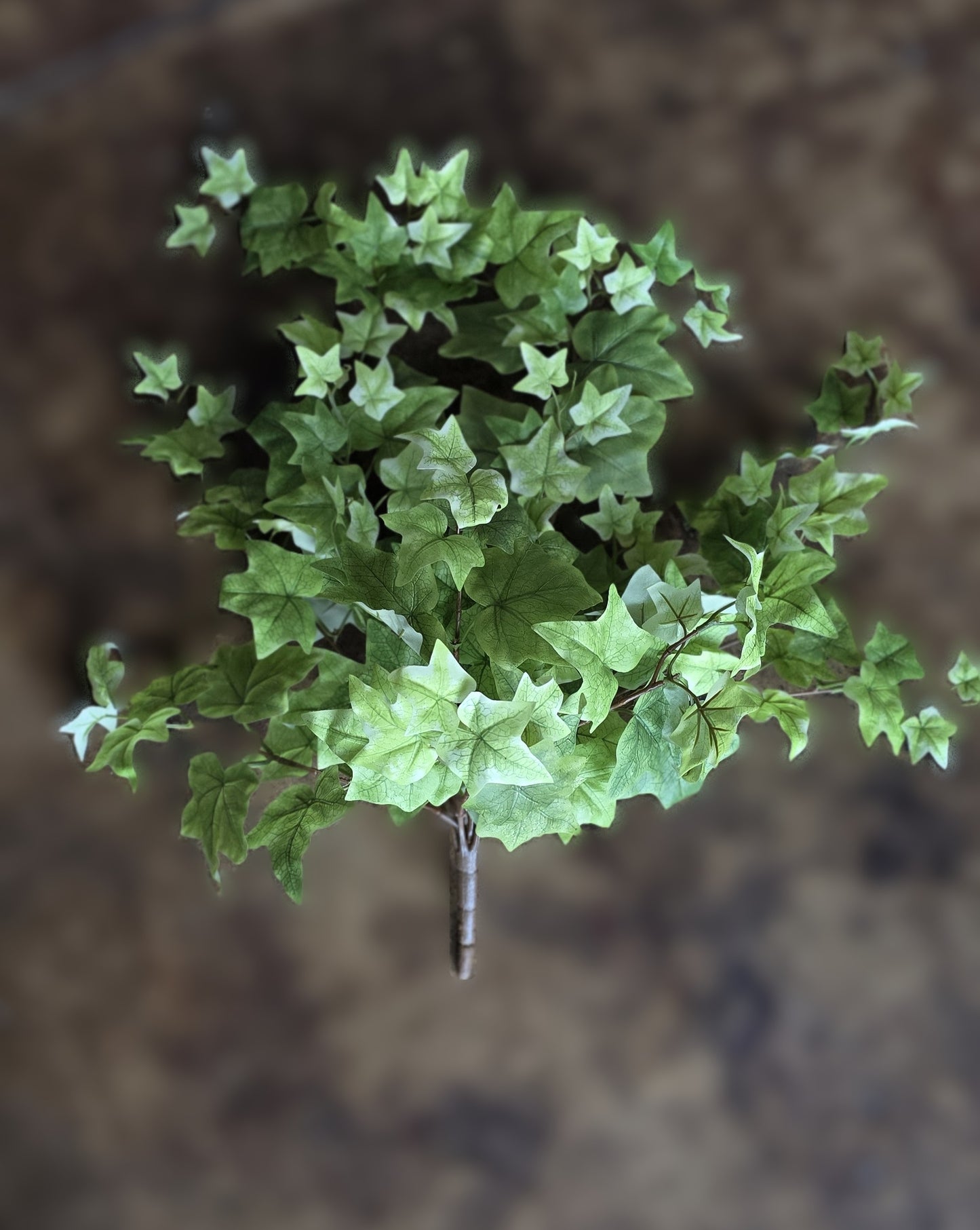 27" Hanging Light English Ivy Bush