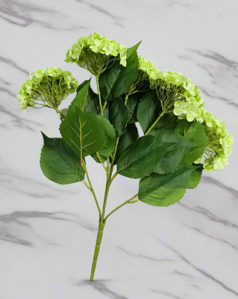 22" Garden Hydrangea Bush