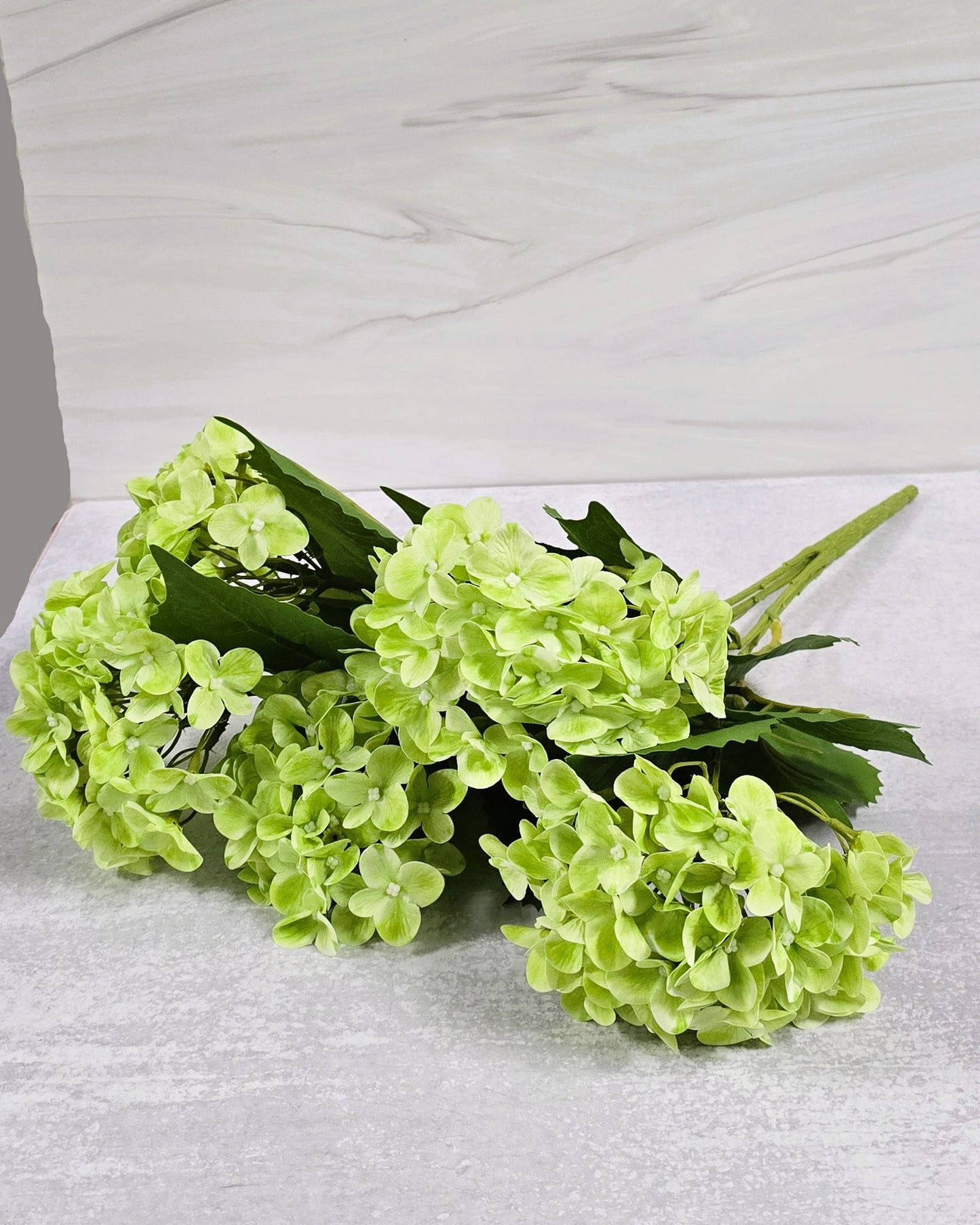 22" Garden Hydrangea Bush