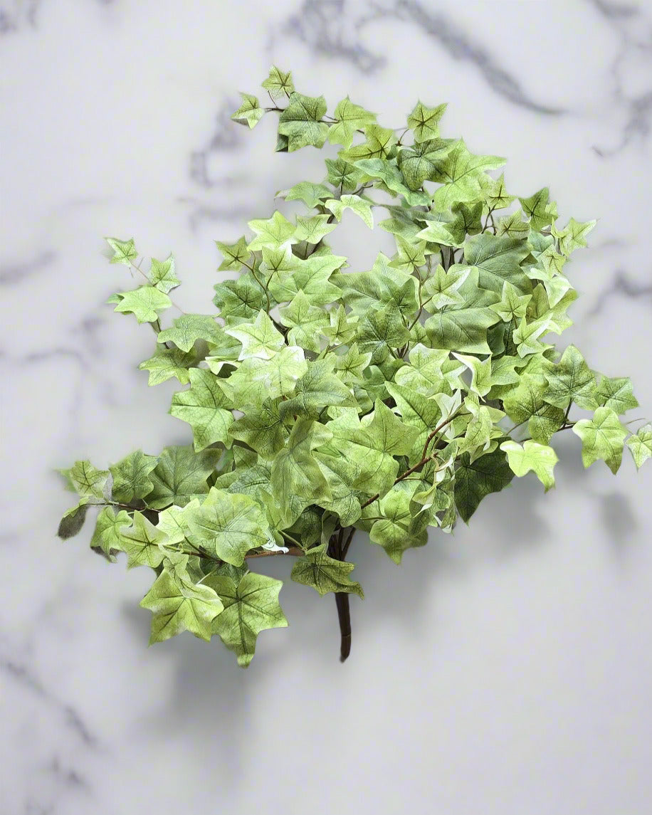 27" Hanging Light English Ivy Bush
