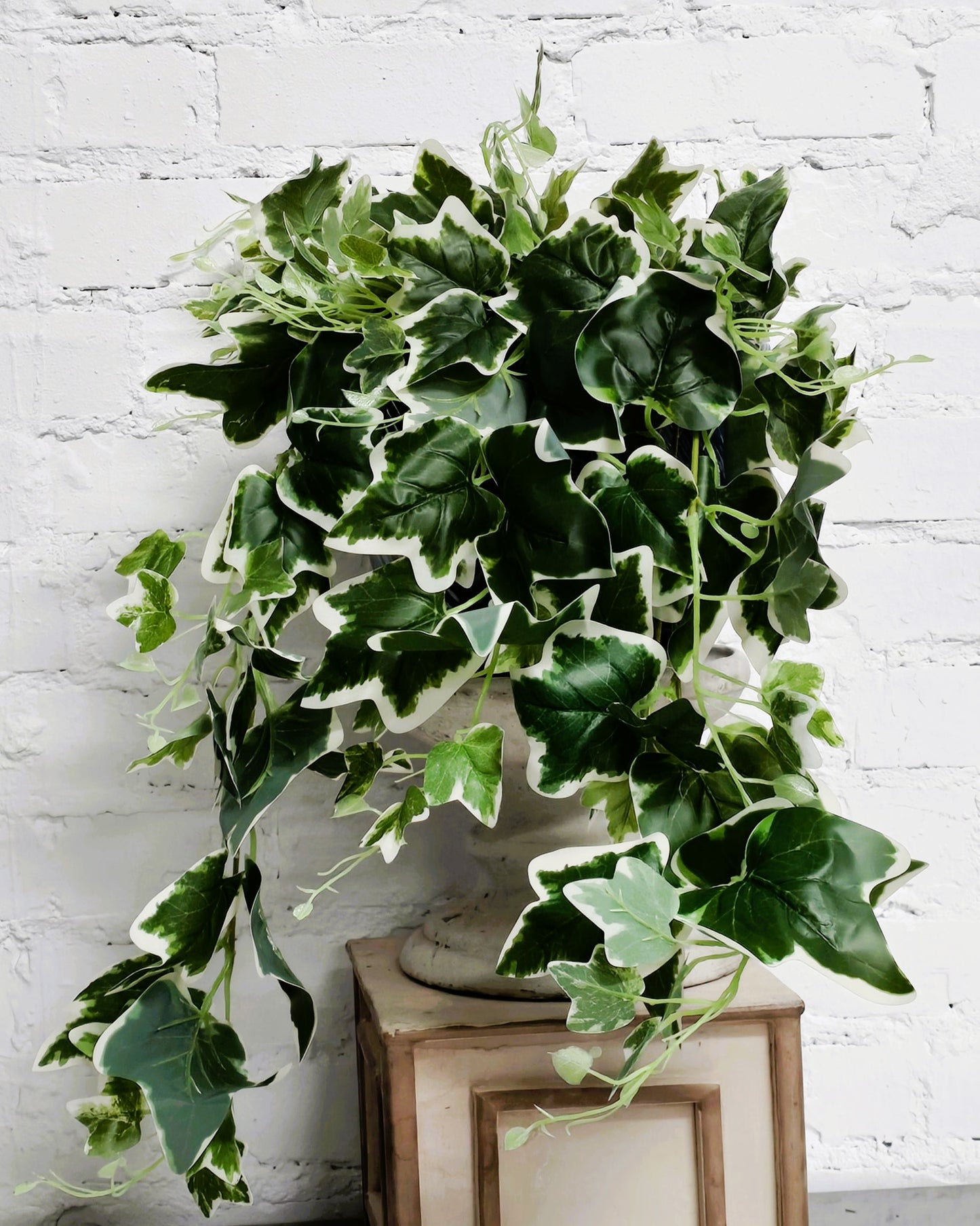 UV Shield Hanging Ivy Bush 29"