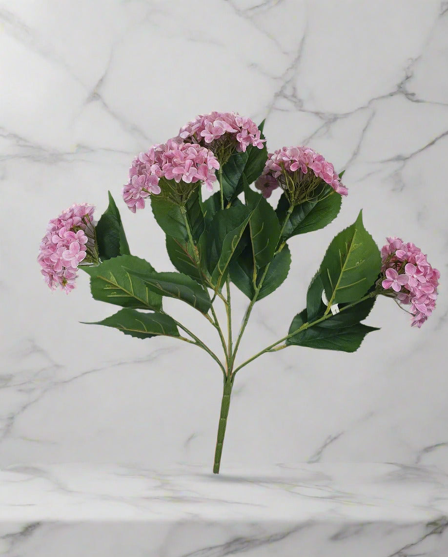 22" Garden Hydrangea Bush