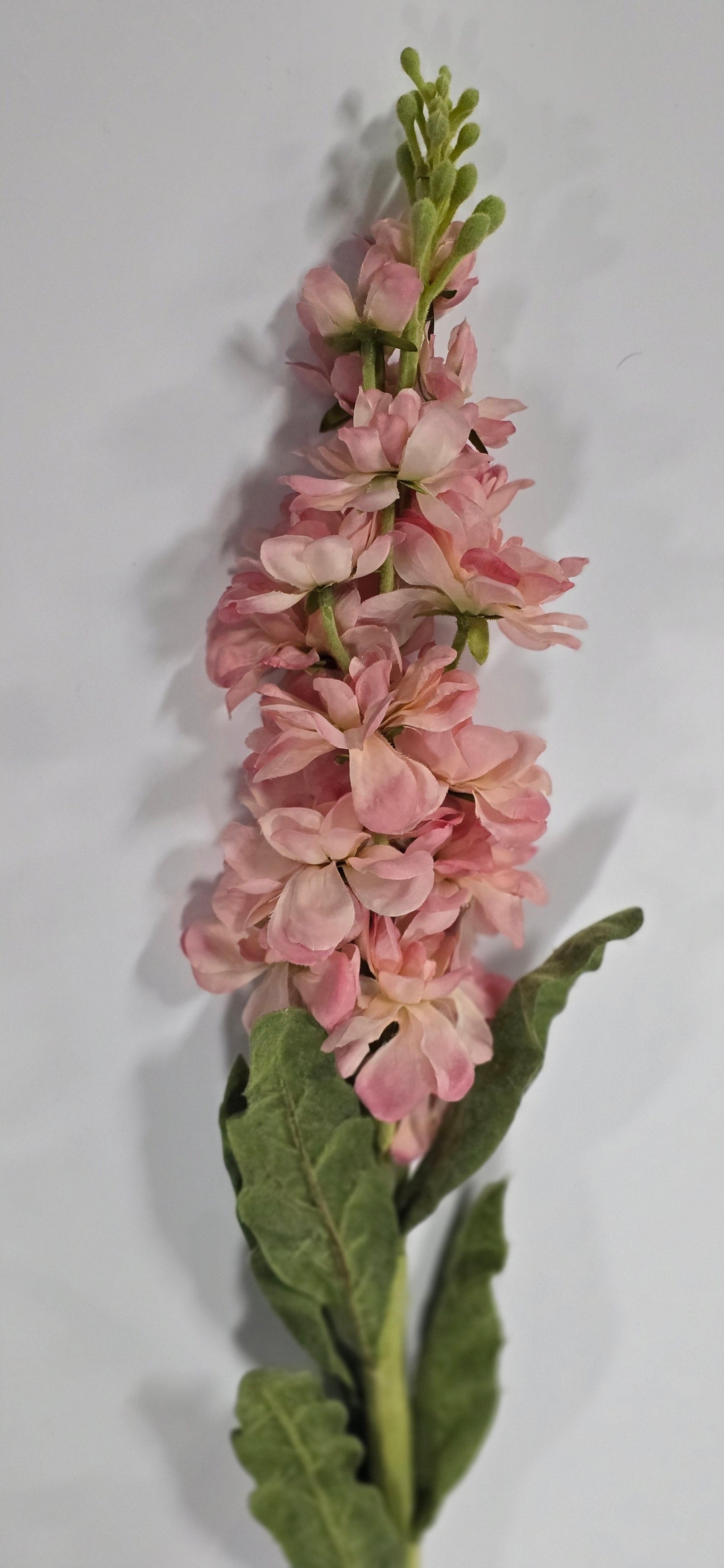 30" Pink Real-Touch Stock Stems
