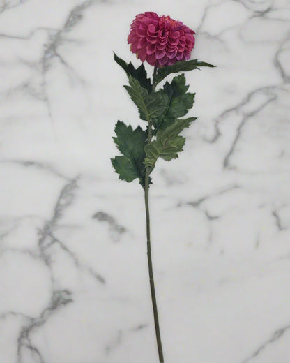 Dahlia Stems - Fushia