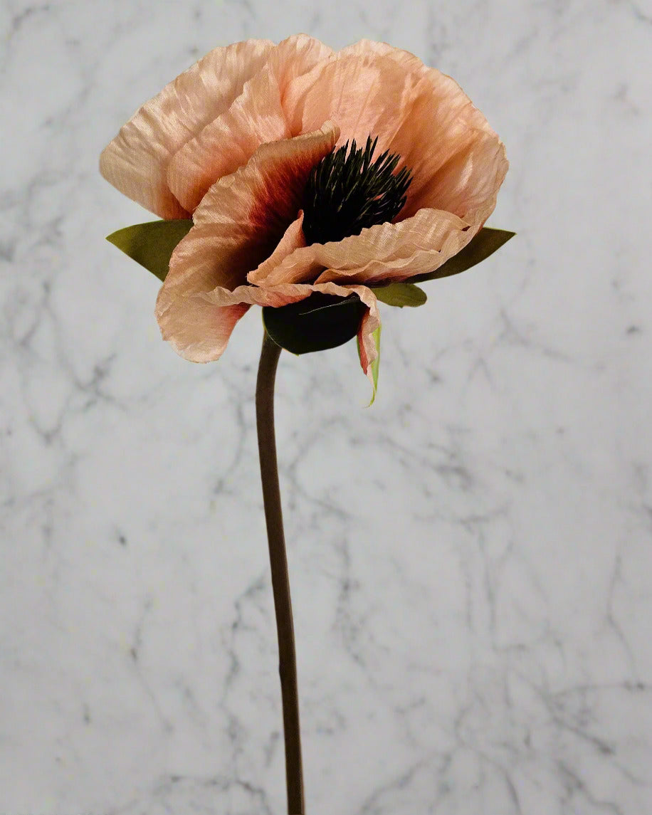 21" Peach Poppy Stems