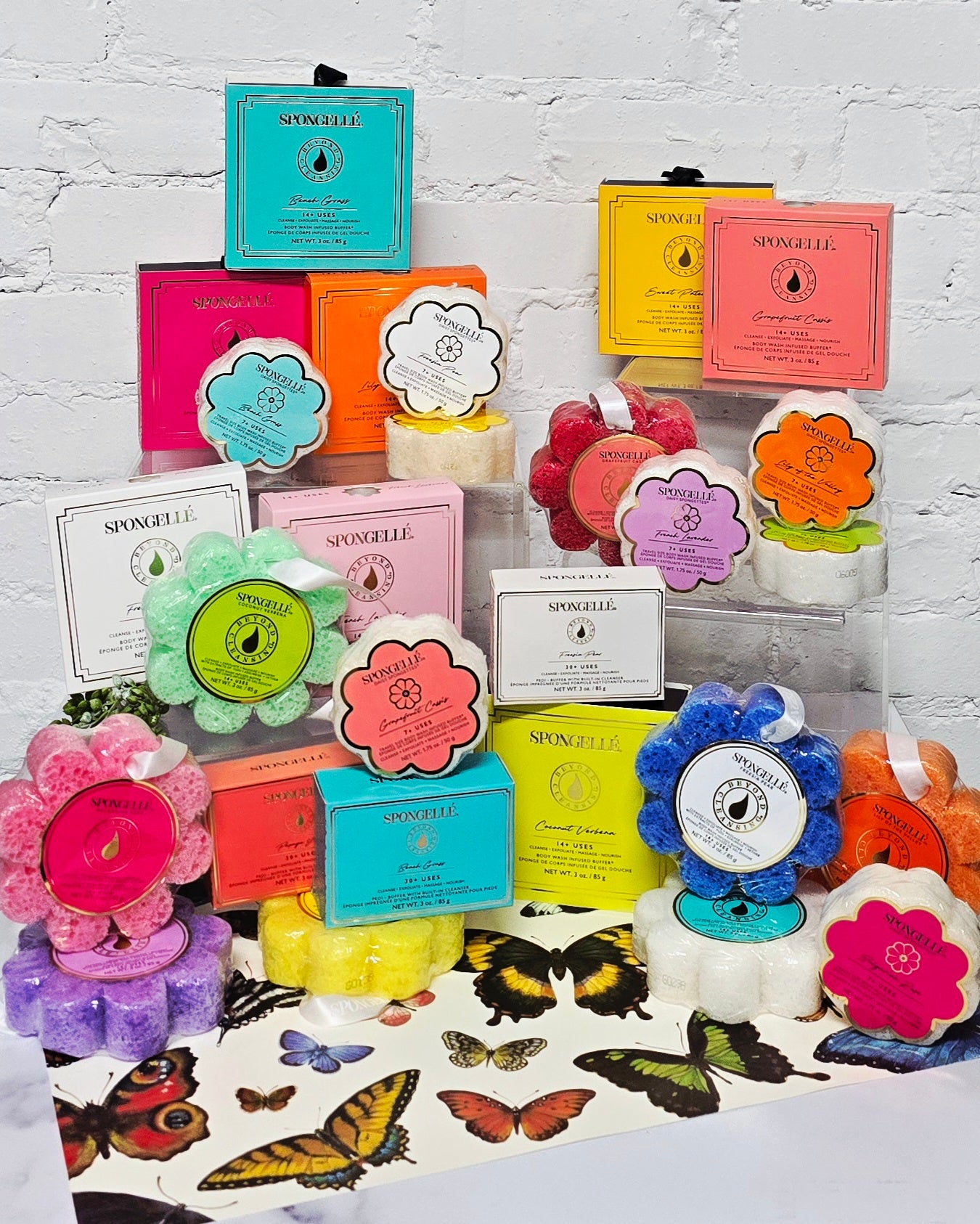 Spongelle - Daisy Collection