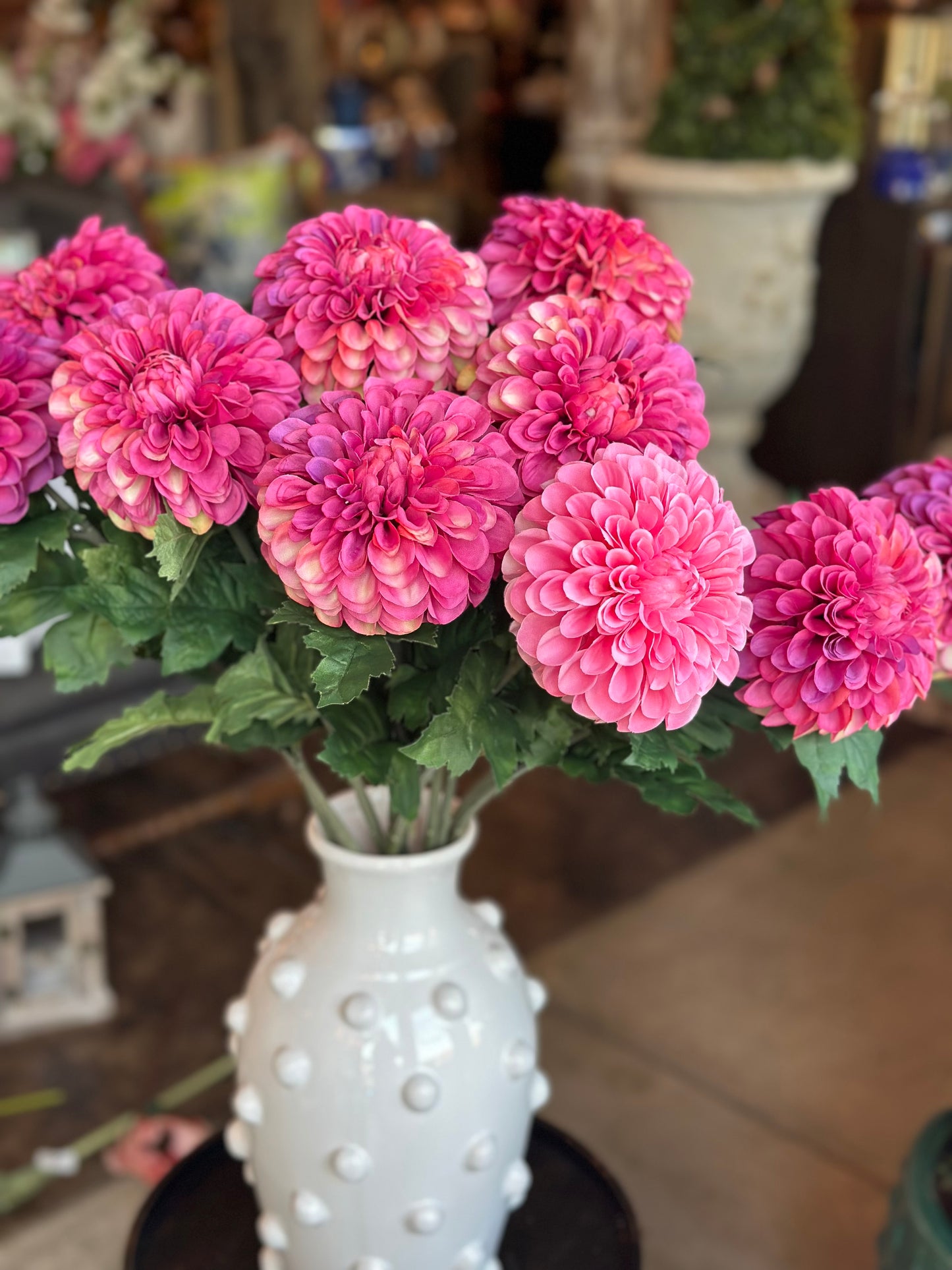 Dahlia Stems - Fushia