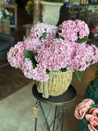 22" Garden Hydrangea Bush