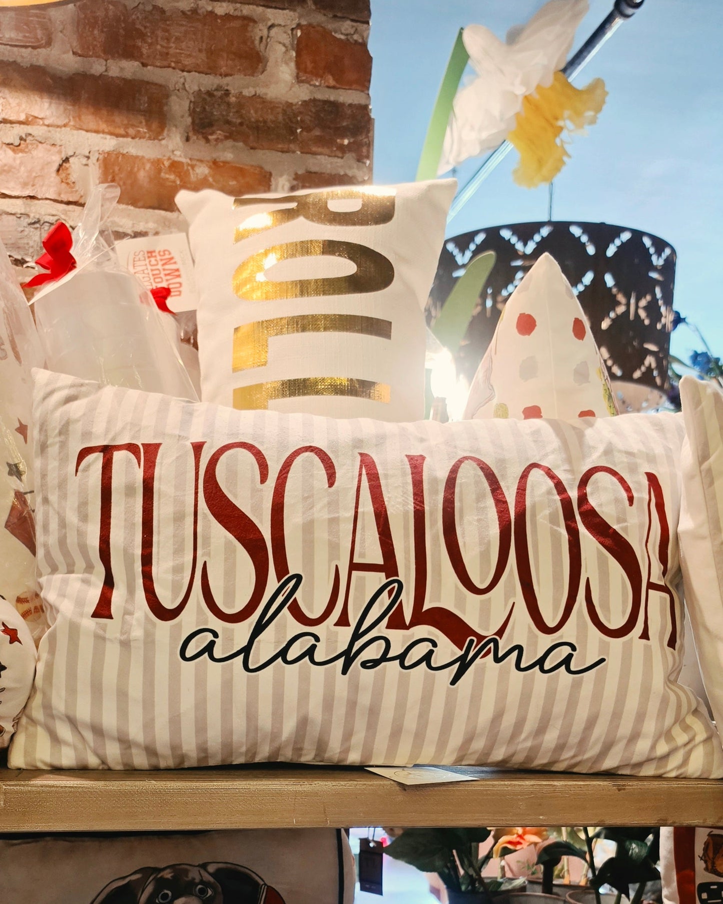PILLOWS - NEW Velvet Collegiate Pillows