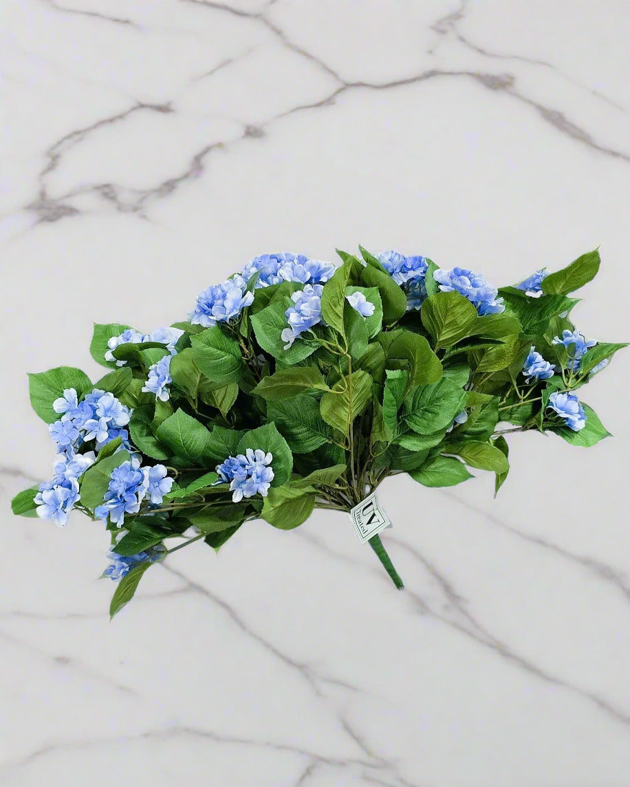 UV Shield Blue Hanging Hydrangea Bush