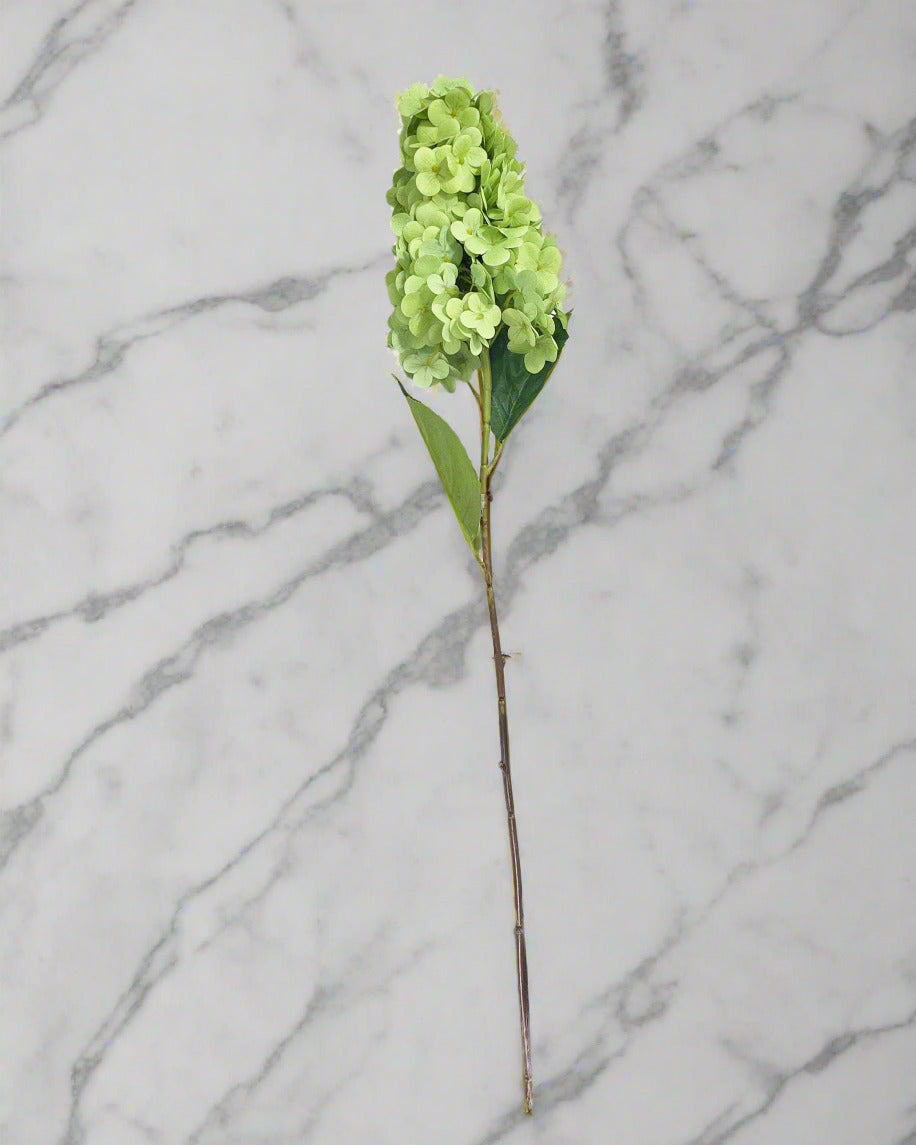 28" Summer Queen Hydrangea Stem - Green
