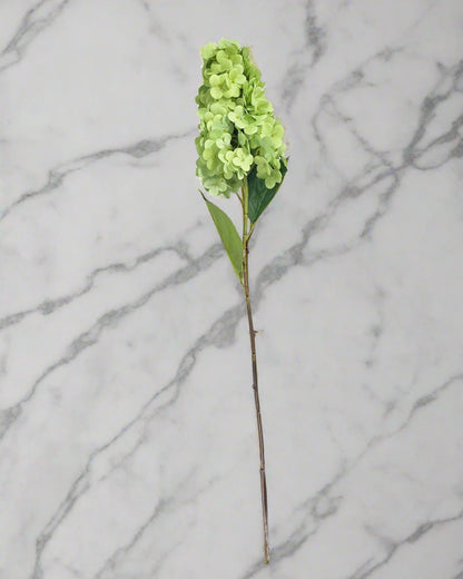 28" Summer Queen Hydrangea Stem - Green