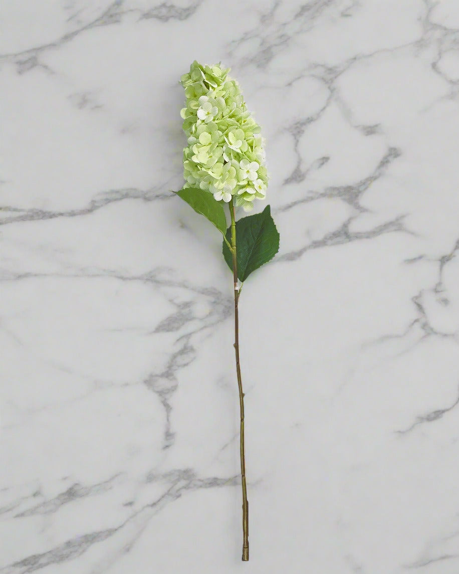 28" Summer Queen Hydrangea Stem - Green/White