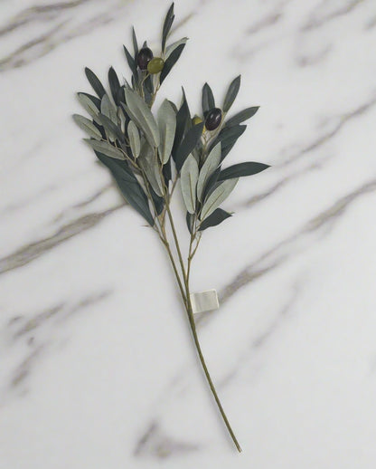 Olive Stems