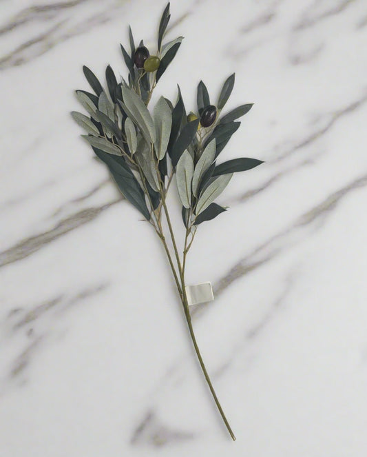 Olive Stems