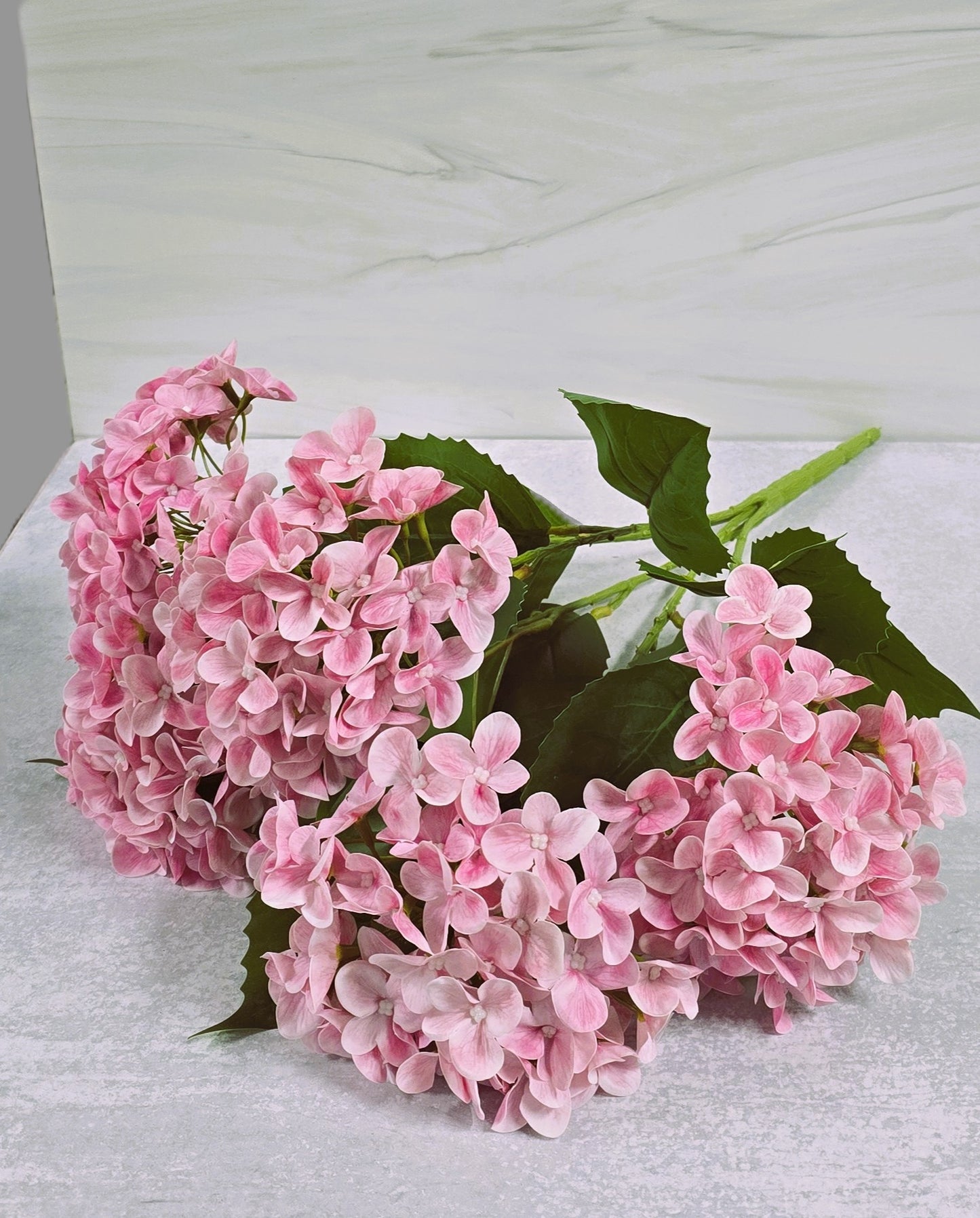 22" Garden Hydrangea Bush