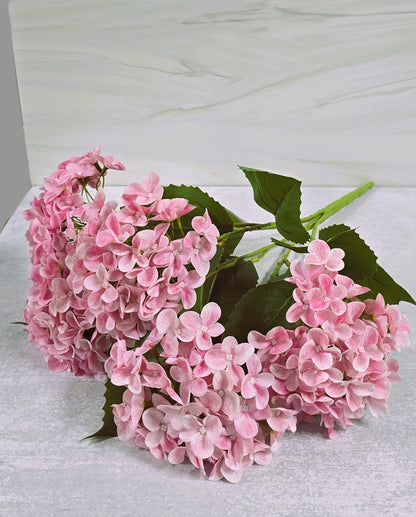 22" Garden Hydrangea Bush