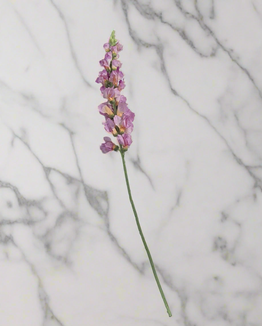32" Snapdragon Stem - Pink/Orange