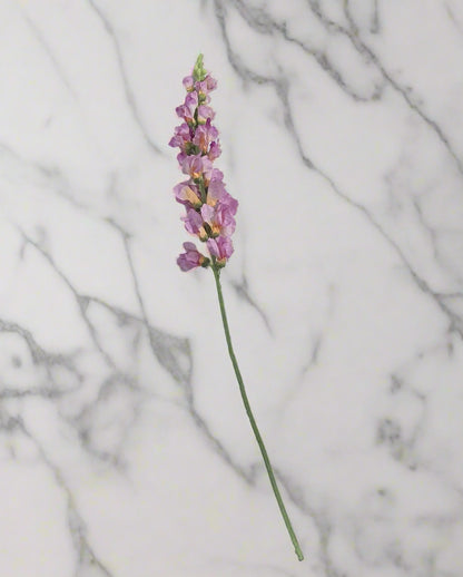 32" Snapdragon Stem - Pink/Orange