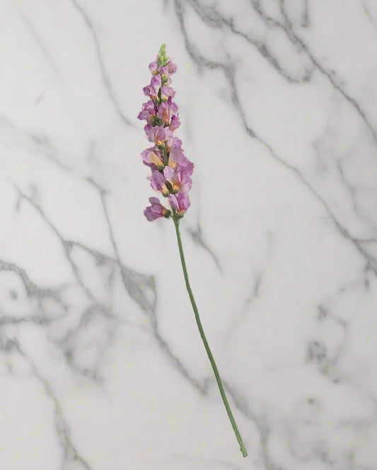 32" Snapdragon Stem - Pink/Orange