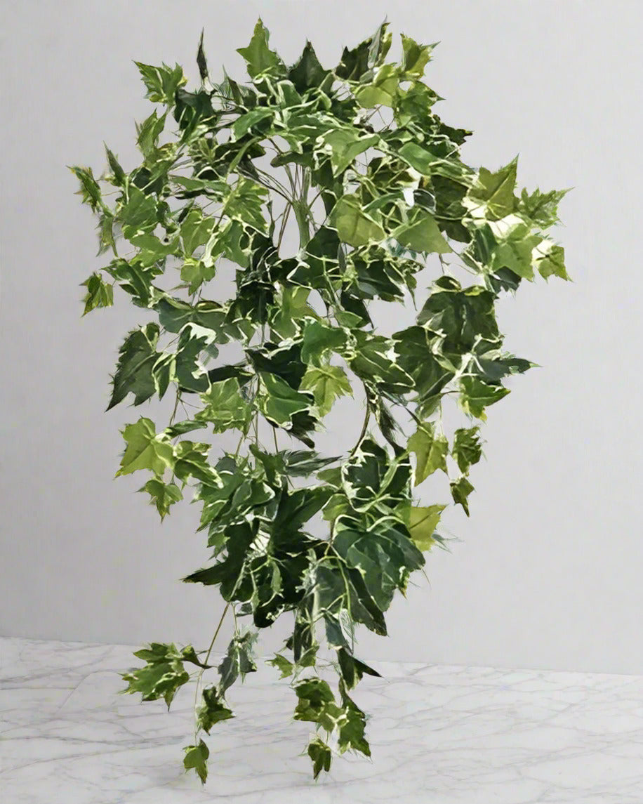 UV Shield Hanging Ivy Bush 29"
