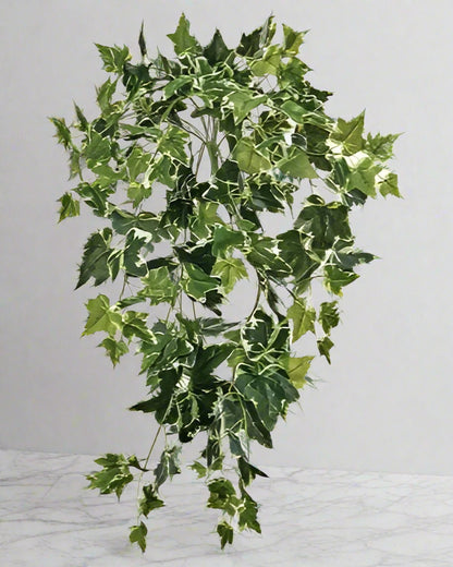 UV Shield Hanging Ivy Bush 29"