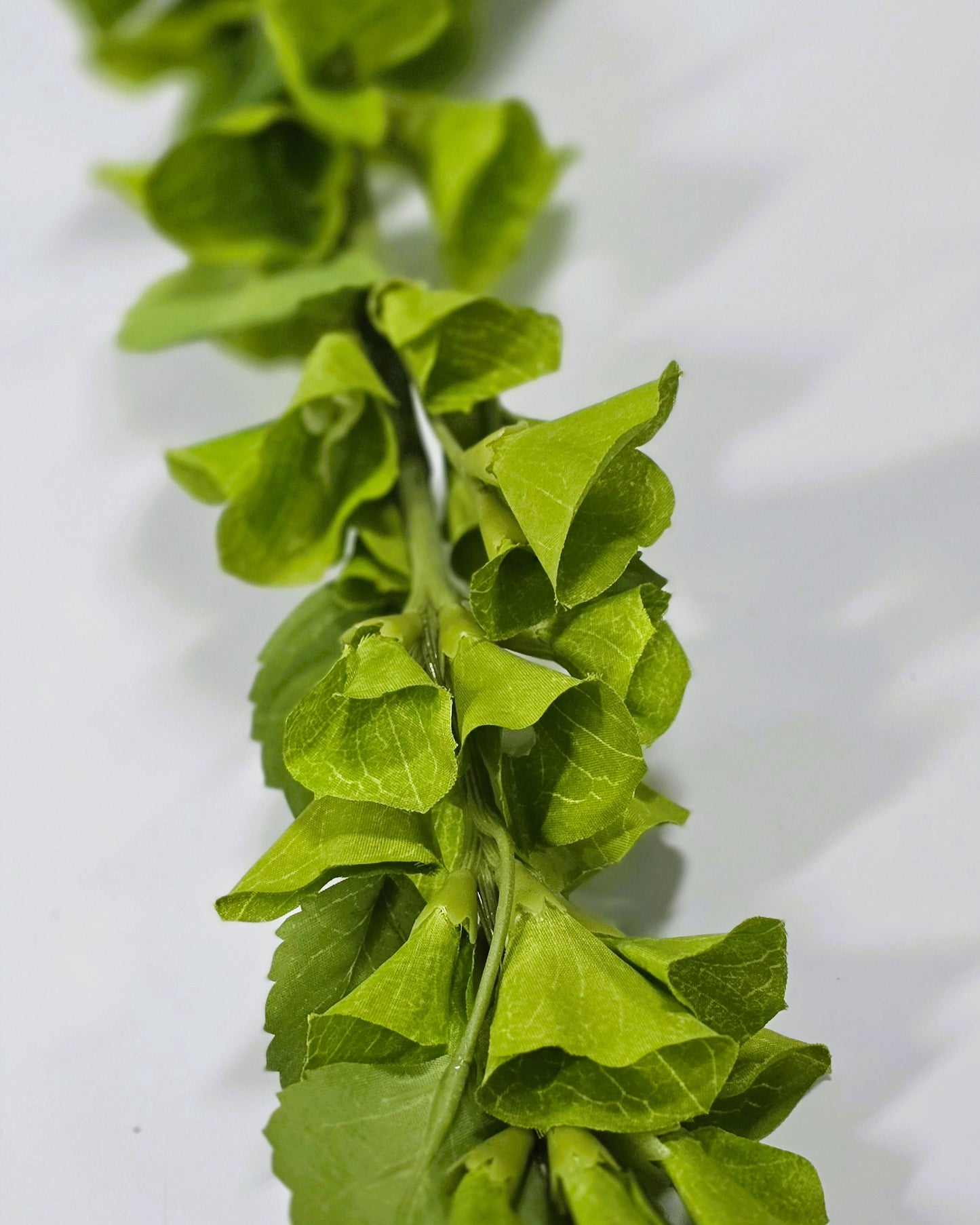 Bells of Ireland